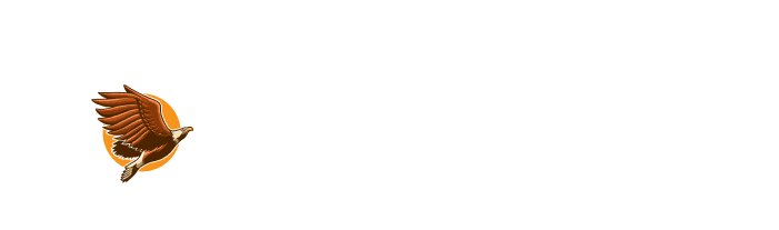 The Valiant Movement